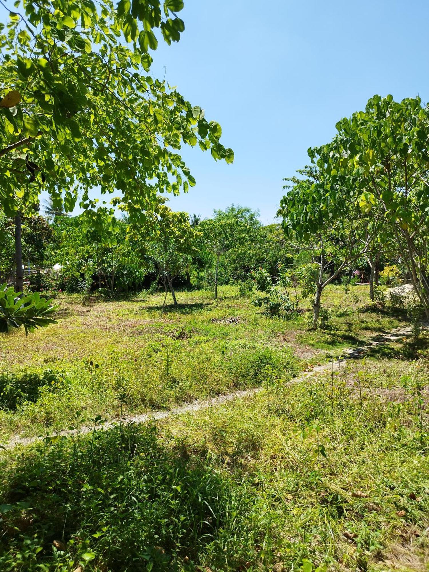 Celtis Resort Ostrov Malapascua Exteriér fotografie